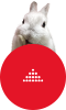 先頭へ戻る